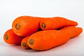 isolated orange carrots