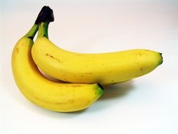 yellow healthy bananas