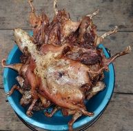 grilled guinea pigs are a traditional Peruvian dish