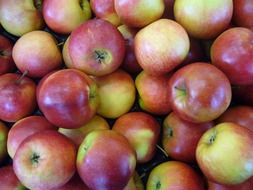 Red and green apples in a pile