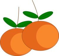 oranges fruits citrus ripe juicy