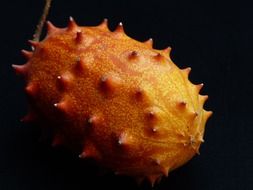 yellow kiwano