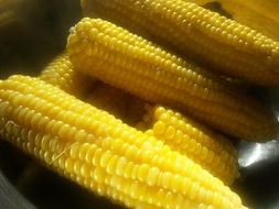 tasty corn on the cob