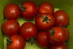 red organic tomato