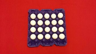 white eggs in a tray on a red background