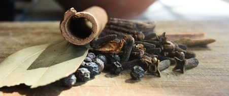 variety of natural spices close up