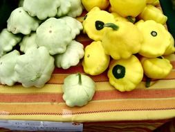 Organic squashes or small pumpkins