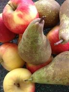 green pears and red yellow apples
