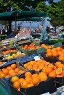 ripe oranges in black boxes