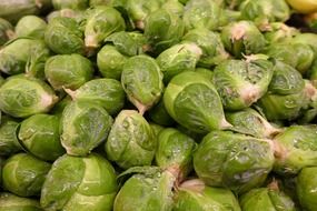 harvest of green brussels sprouts