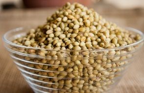 seeds coriander in a bowl