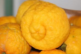 Close-up of sour yellow lemons fruit