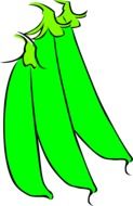 peas green drawing