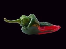 clipart of the green and red pepper