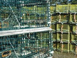 many traps for seafood