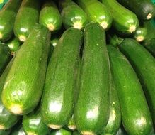 Beautiful harvest of green zucchinis