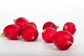 red radish on white background