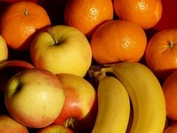 colorful oranges apple bananas and tangerines