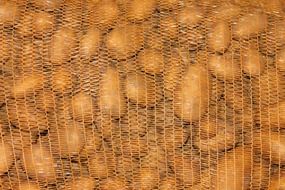 potatoes food