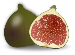 fresh sweet fig organic fruit