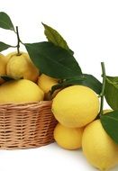 lemons citrus