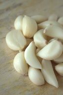 garlic spices