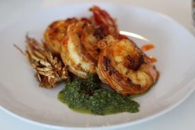 fried shrimp on a white plate