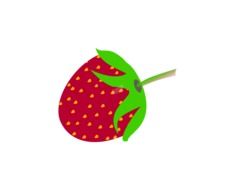 strawberry fruit drawing