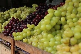 grapes fruits