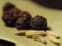 fragrant spices closeup