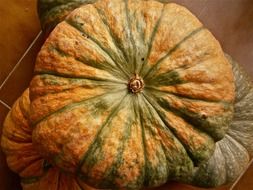 orange pumpkins, autumn vegetable