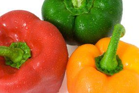 the tops of sweet peppers with tails