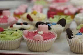 bright sweet funny muffins