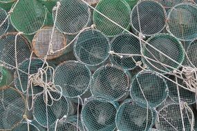 nets for catching fish