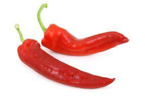 chili hot peper