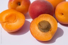 apricots fruit