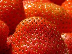 sweet strawberry close-up