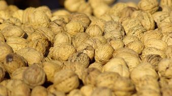 a lot of walnuts in the pile