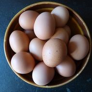 a lot of eggs are in the bucket