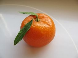 fruit mandarin