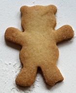 cookie bear