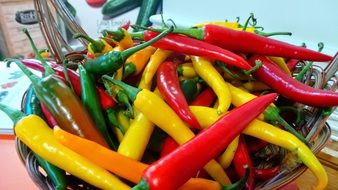 various colored pepper