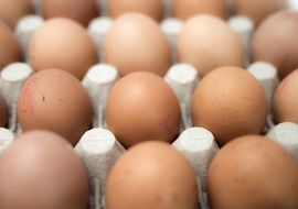 Brown eggs in box