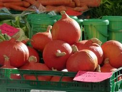 Pumpkins in a market