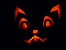 Halloween pumpkin carved in the shape of a cat