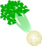 celery as a graphic image