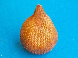 Salak fruit, snake skin fruit