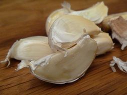 organic garlic close-up