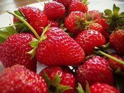delicious strawberries fruit
