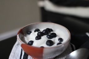 yogurt with blueberries in a bowl